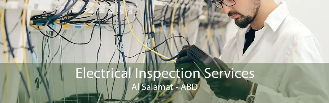 Electrical Inspection Services Al Salamat - ABD