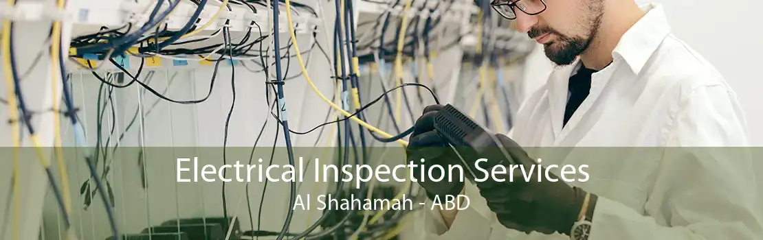 Electrical Inspection Services Al Shahamah - ABD