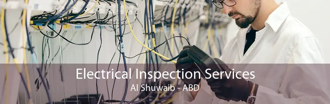 Electrical Inspection Services Al Shuwaib - ABD