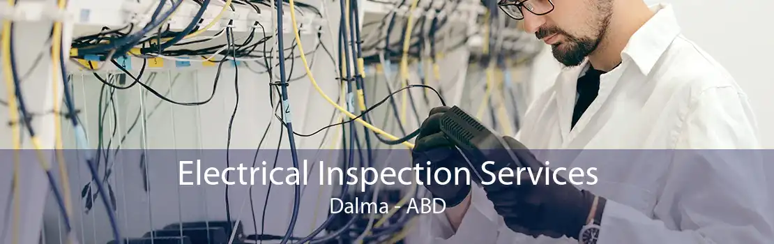 Electrical Inspection Services Dalma - ABD