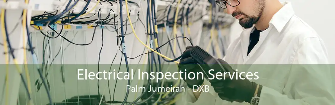 Electrical Inspection Services Palm Jumeirah - DXB