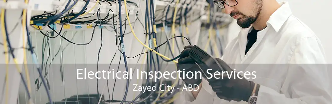 Electrical Inspection Services Zayed City - ABD