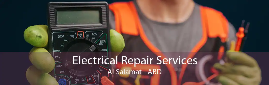 Electrical Repair Services Al Salamat - ABD