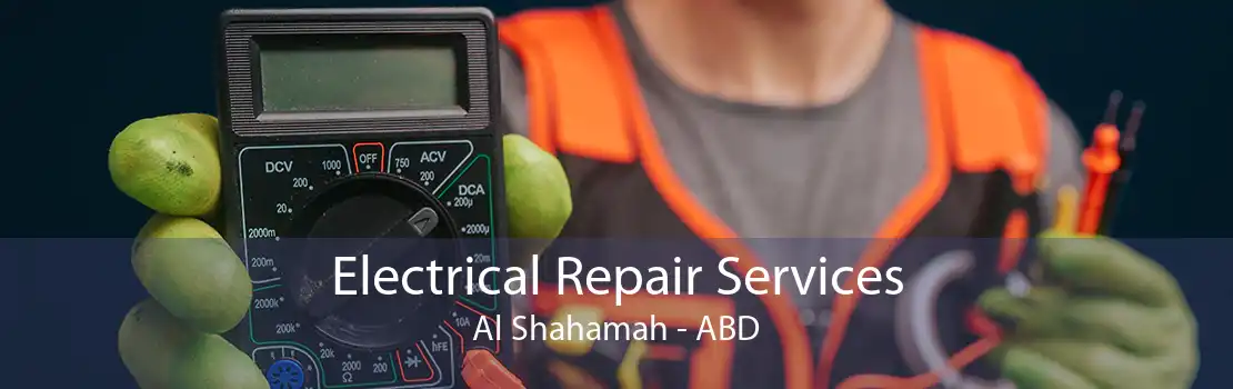 Electrical Repair Services Al Shahamah - ABD