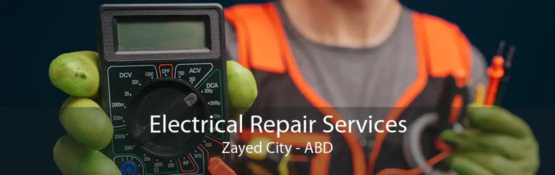 Electrical Repair Services Zayed City - ABD